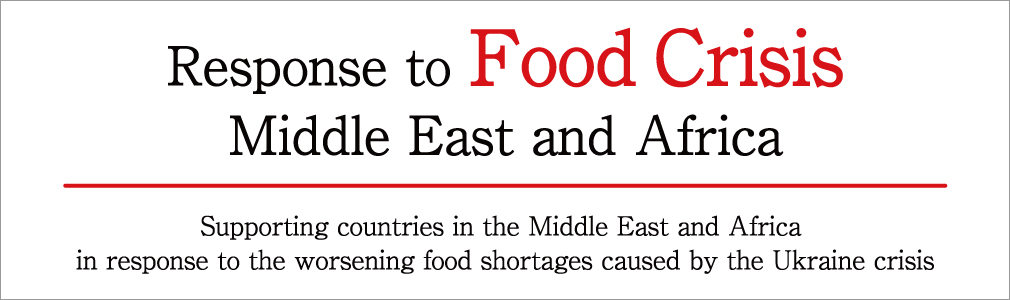 Response to Food Crisis in the Middle East and Africa