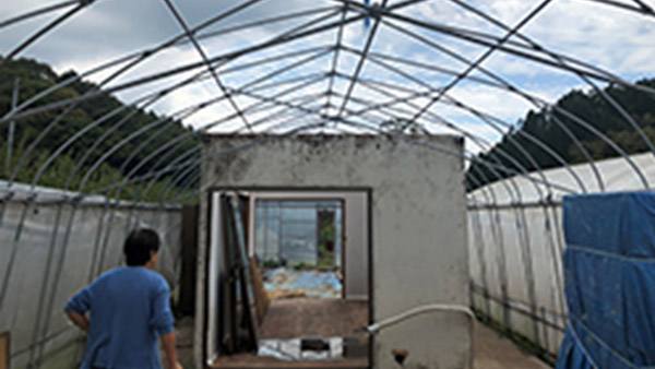 Plastic roof of an agricultural greenhouse blown away by wind and rain, showing damaged rest space for the workers inside (Kisarazu, Chiba; 19th September 2019) ©AAR