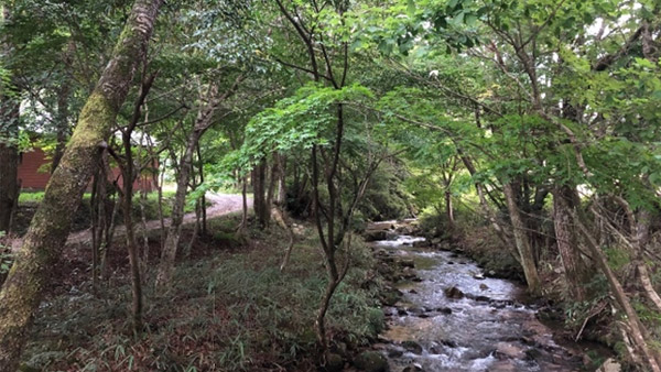 Clear stream in Kawauchi village