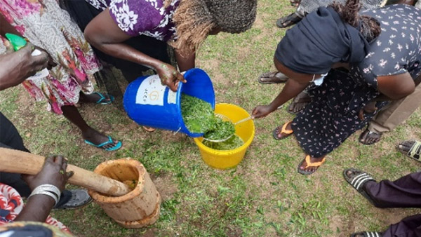 Residents being shown how to make homemade pesticide from natural ingredients that cause no harm to humans or livestock ©REALs